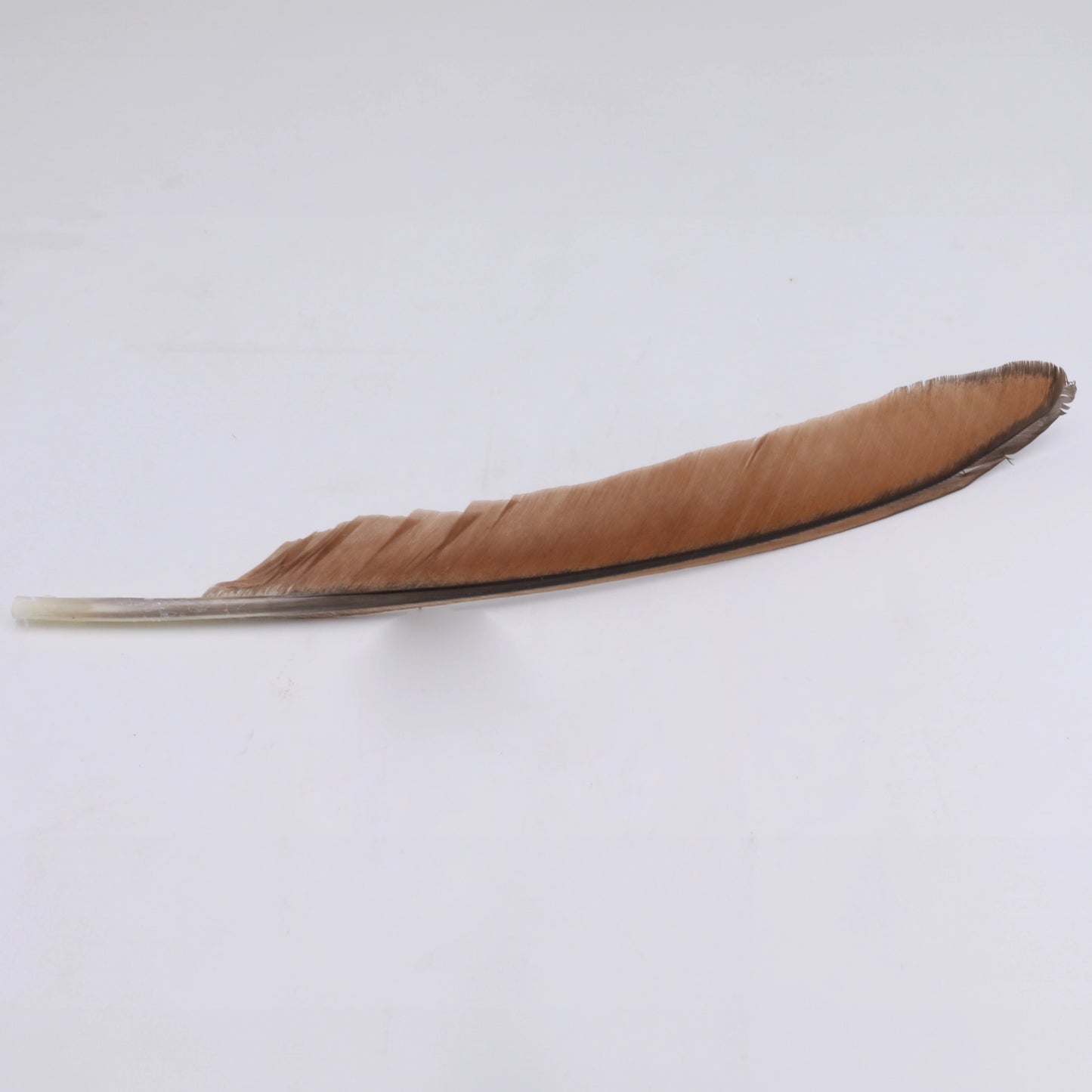 pluma para sombrero grande