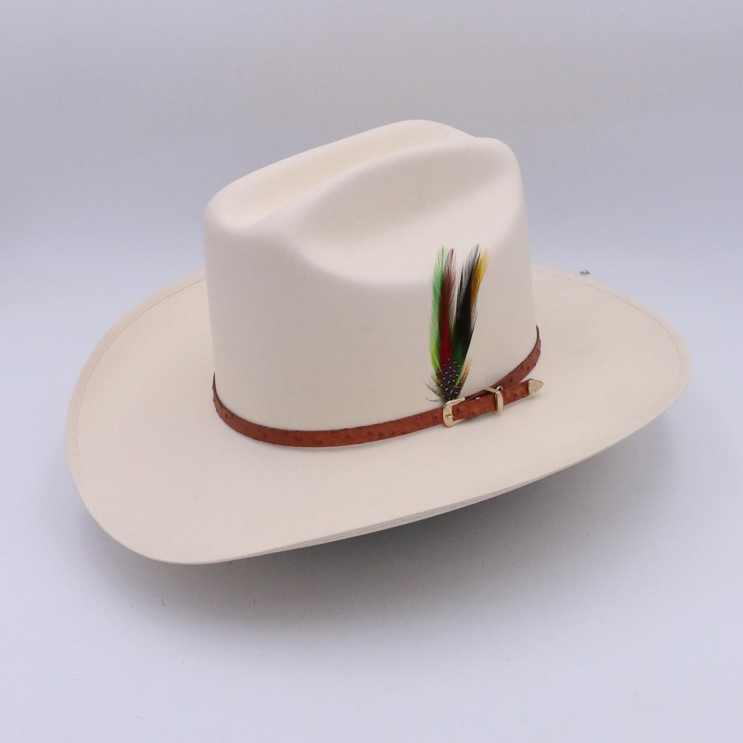 Sombrero de vaquero con pluma